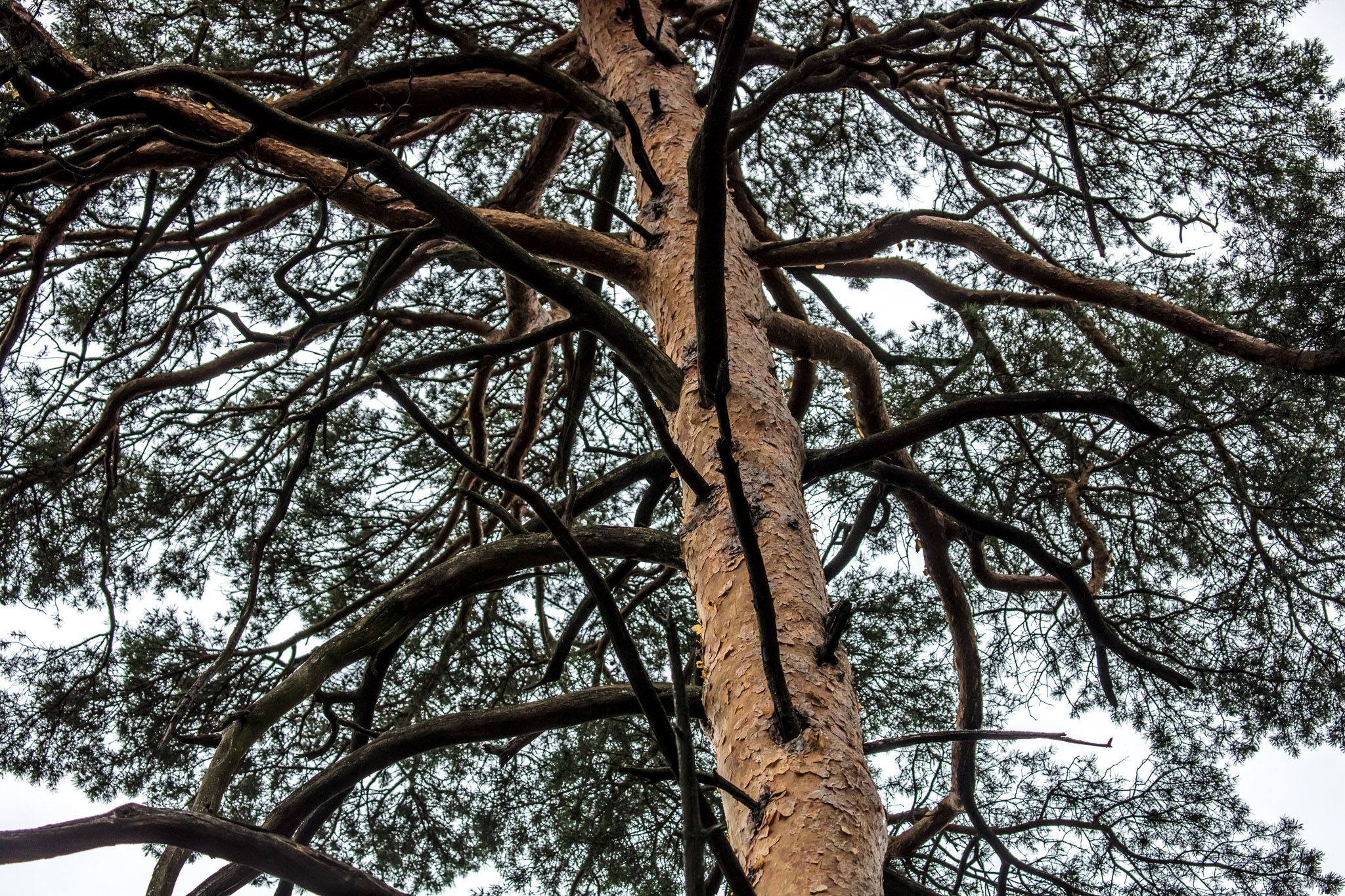 20210725101519 017900